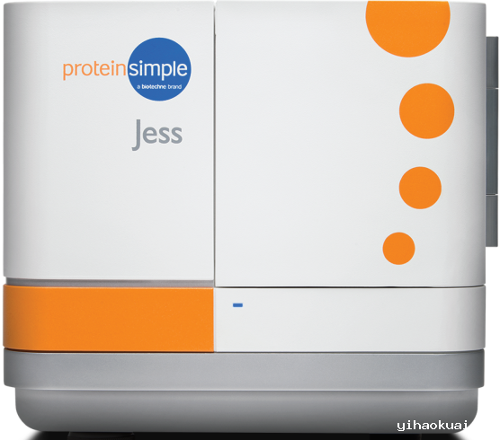 jess.png